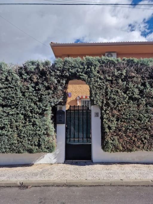 Primera Planta Completa, El Álamo Dış mekan fotoğraf