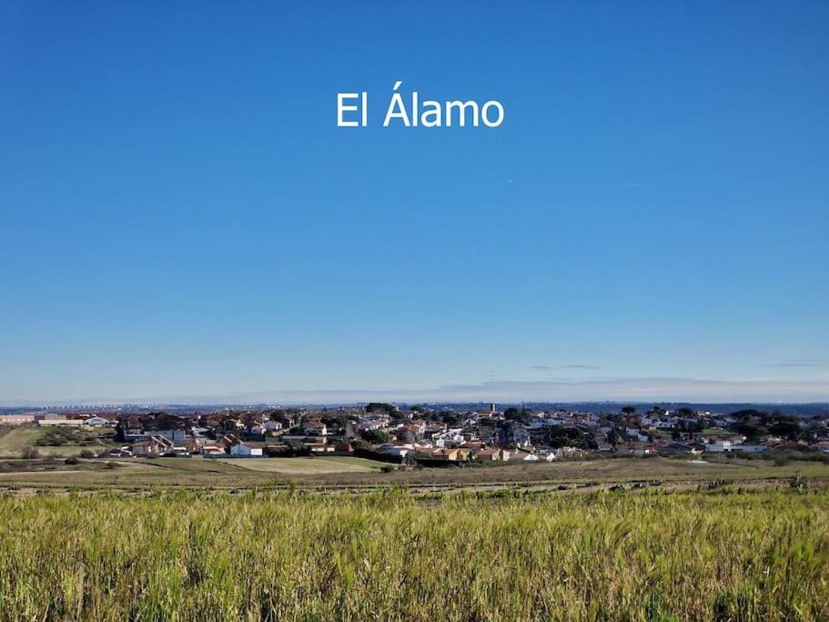 Primera Planta Completa, El Álamo Dış mekan fotoğraf