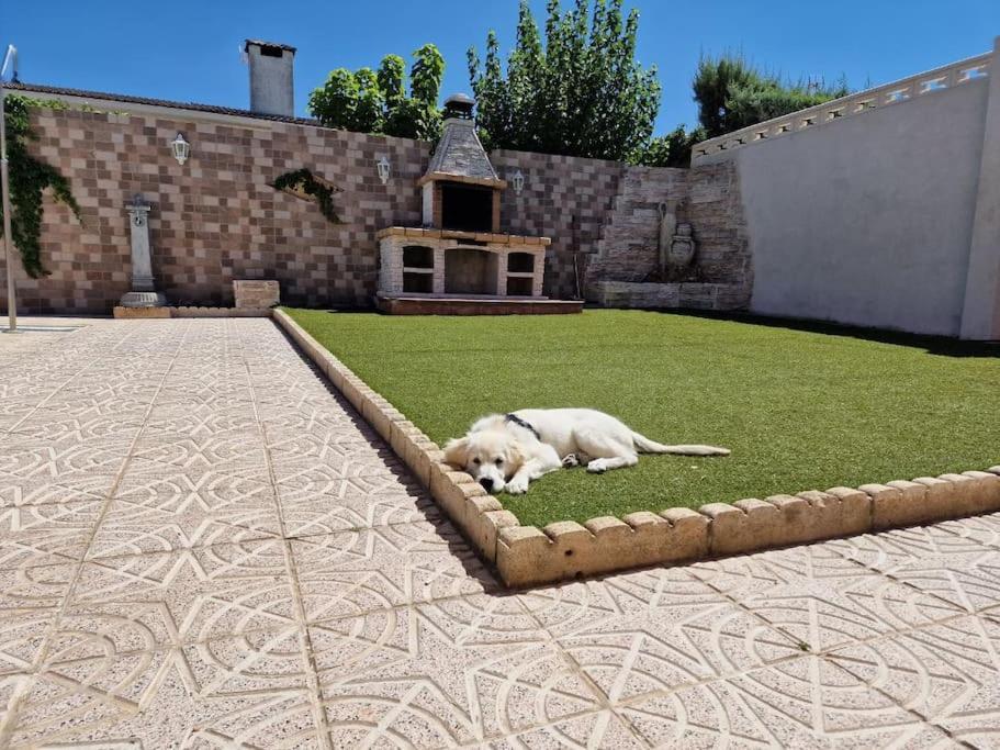 Primera Planta Completa, El Álamo Dış mekan fotoğraf
